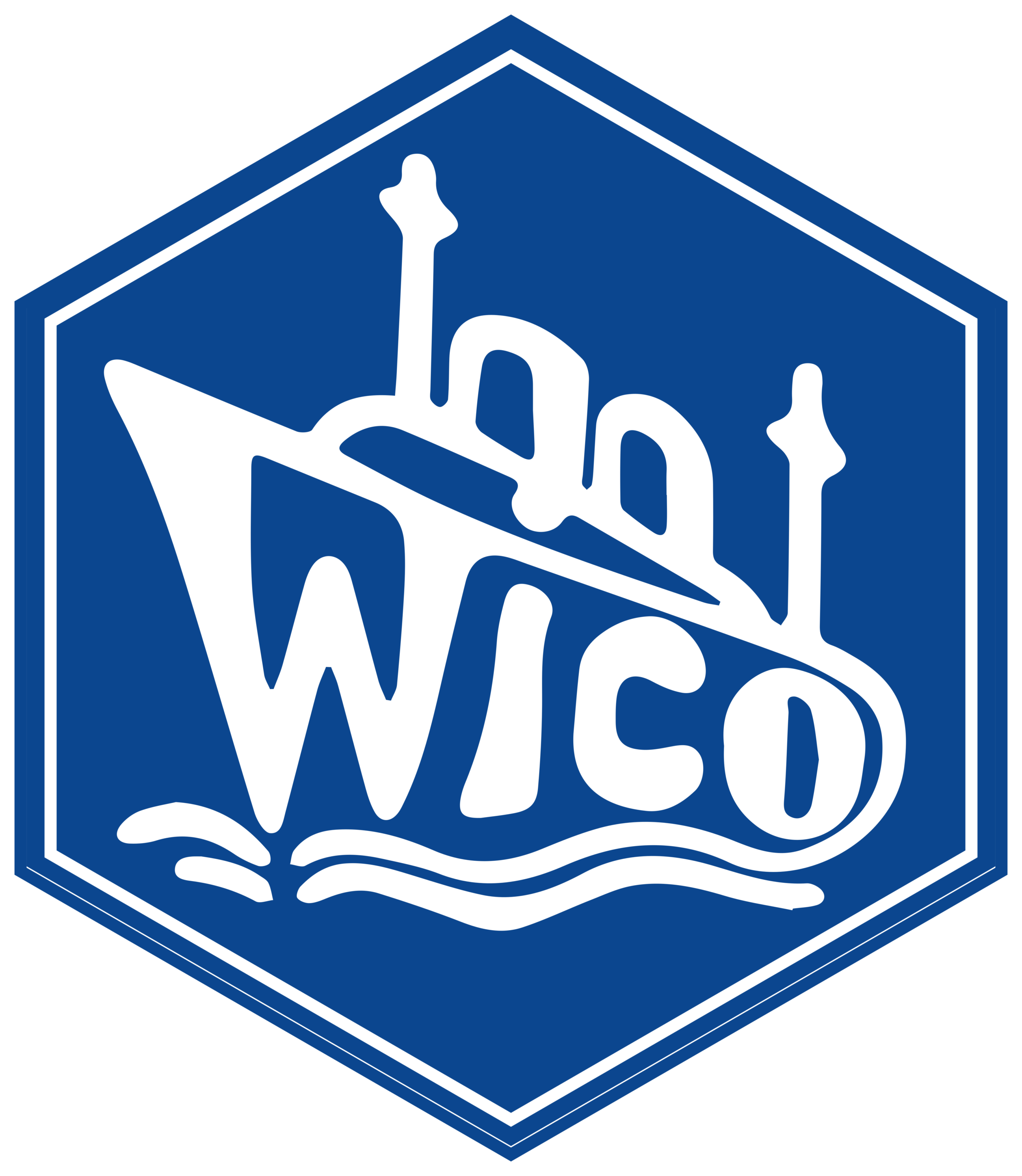 wico logo freigestellt 5000px linkedin